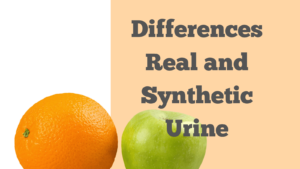 Difference between Real vs Synthetic Urine