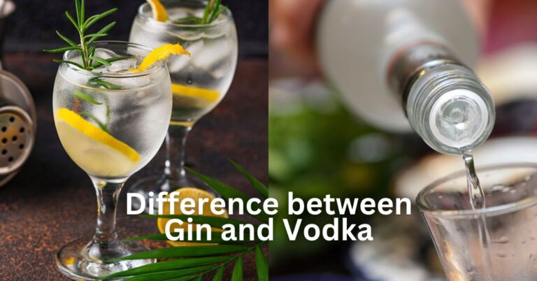Difference Between Gin and Vodka - 2 Min Read