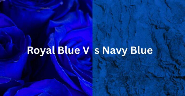 Royal Blue Vs Navy Blue- What's the difference?