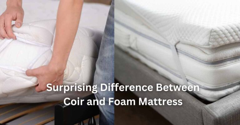 Surprising Difference Between Coir And Foam Mattress