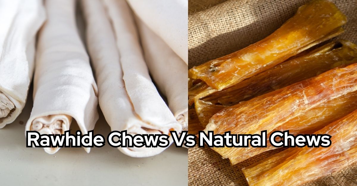 Rawhide vs. Natural Chews for Dogs Which is the better option