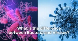 What is the difference between Bacteria and Viruses?